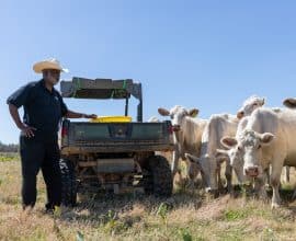 Beef in a Healthy Sustainable Diet