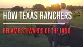 The Short Story Behind Brown Ranch in Texas