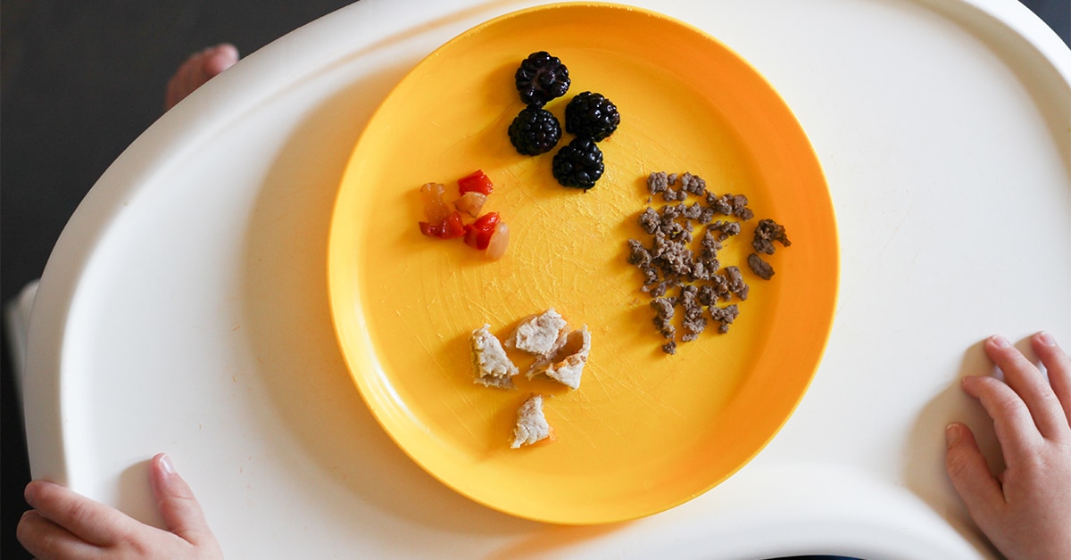 toddler plate with beef and fruit