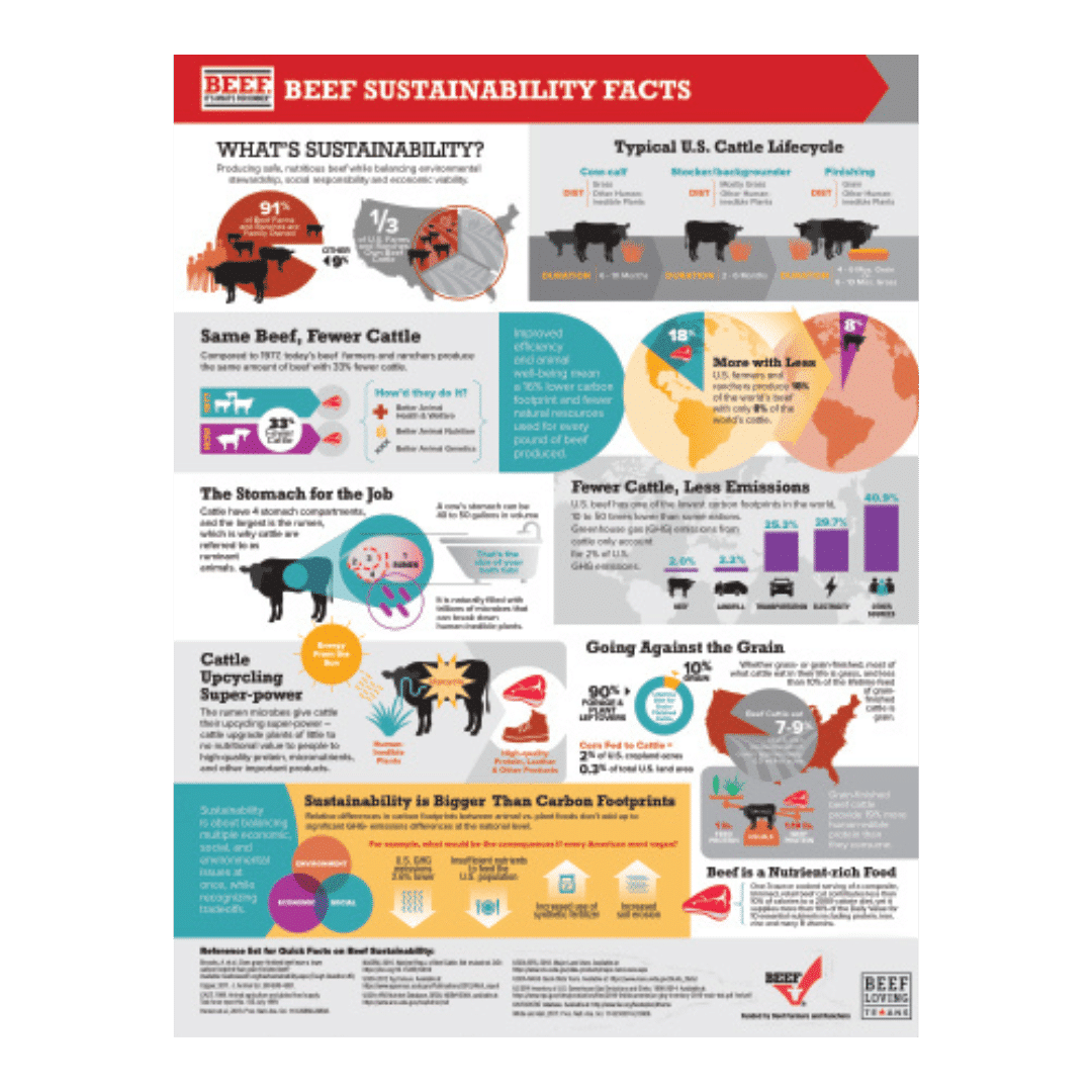 Beef Sustainability Facts and Infographics